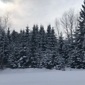 Meet your Posher, Dianne